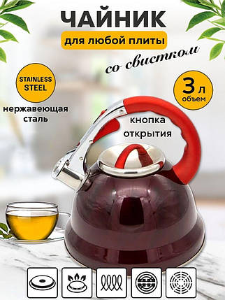 Чайник EDENBERG EB-1911 3.00 л - 9818, Чайник зі свистком 3 літри для всіх видів плит, фото 1