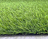 Ландшафтна трава ecoGrass SD-20, фото 2