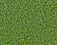 Ландшафтна трава ecoGrass SD-20