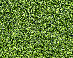 Ландшафтна трава ecoGrass SD-20