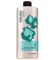 Питательный шампунь 10 в 1 Elgon Sublimia Hair DD Shampoo, 1000 мл