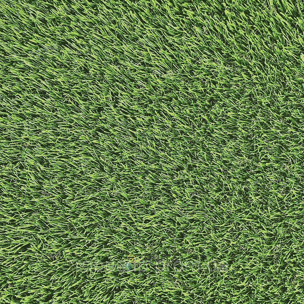 Искусственная трава для интерьера ecoGrass U-40 - фото 1 - id-p2179796109