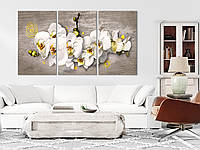 Модульные картины для интерьера, большие модульные картины, картины для кофейни Абстракция белая орхидея