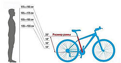 Розмір рами велосипеда, колеса по зростанню – як правильно підібрати?