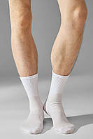 Шкарпетки чоловічі Legs з бавовни SOCKS COTTON 2пари 41-45(р) white (U06)