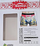 Труси чоловічі "Veenice" (XL-4XL)х/б, фото 2