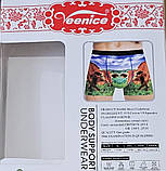 Труси чоловічі "Veenice" (XL-4XL)х/б, фото 3