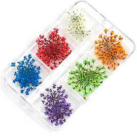 Маленькі квіти (сухоцвіти) для дизайну нігтів, у пластиковому контейнері - різні кольори в наборі 408 А