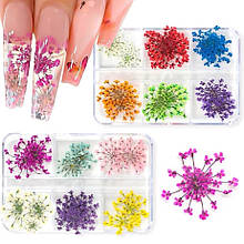 Різнокольорові сухоцвіти для декору нігтів 408, 6 кольорів - для манікюру та педикюру