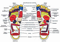Схема расположения точек левой и правой ступни - постер