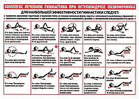 Комплекс лечебной гимнастики при остеохондрозе позвоночника - плакат