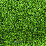 Штучна трава для футболу CCGrass Nature D3-40, фото 2