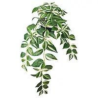 FEJKA Искусственное растение в горшке, комнатное/уличное/полосатое растение, 12 см. Ікеа
