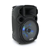 Потужна акустична система з підсвічуванням ZXX-1209, 30W, Bluetooth мікрофон, вбудований акум 2600mAh, живлення 220В, Black, Box p