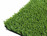 Штучна трава для спорту CCGrass CE20, фото 3