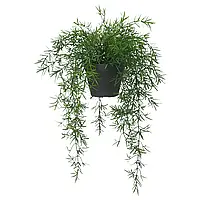 FEJKA Искусственное растение в горшке, спаржа для внутреннего/уличного использования/подвесное, 12 см Ікеа