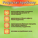 Очищення організму, детокс, схуднення з РІДКИЙ КШТАН СУПЕР ОЧИЩЕННЯ No60, фото 3