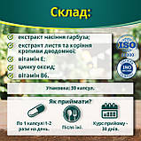 Для потенції, профілактика простатиту XL-ЗРОВ'Я ПРОСТАТІ No30, фото 5