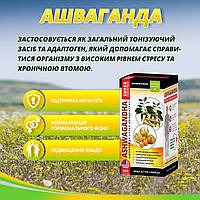 ИММУНОСТИМУЛЯТОРЫ, ПРОТИВОВИРУСНЫЕ