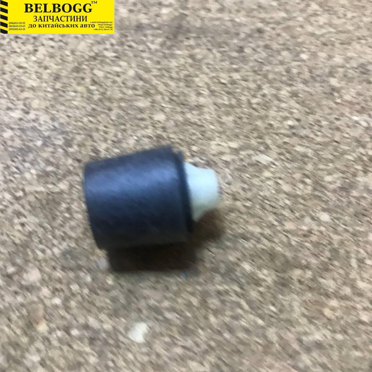 Відбійник двері BYD F3, Бид Ф3, Бід Ф3, фото 1