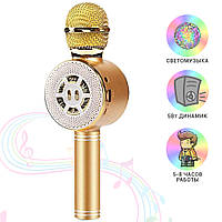Детский микрофон Wster с функцией караоке USB, microSD, AUX, Bluetooth WS 669 Золотой Mix