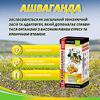 Підвищення лібідо, нормалізація гормональних функцій Ашваганда суперконцентрат No60