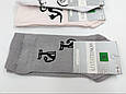 Жіночі короткі шкарпетки Montebello в сіточку, бавовняні літні з малюнком кішки, розмір 36-40 12 пар/уп. мікс кольорів, фото 2