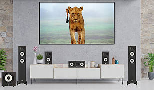 Домашній кінотеатр JBL Stage A170 + Onkyo TX-SR494