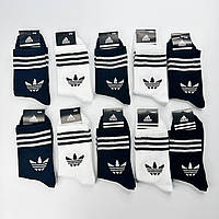 Шкарпетки Adidas