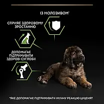 Сухий корм для цуценят Pro Plan Large Robust Puppy Healthy Start для великих порід з куркою 12 кг, фото 3