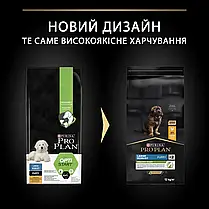Сухий корм для цуценят Pro Plan Large Robust Puppy Healthy Start для великих порід з куркою 12 кг, фото 4