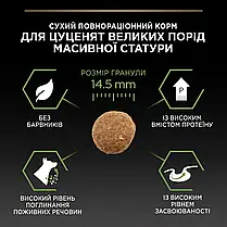 Сухий корм для цуценят Pro Plan Large Robust Puppy Healthy Start для великих порід з куркою 12 кг, фото 5