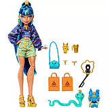 Лялька Монстер Хай Клео де Ніл Монстро-класика Monster High Cleo De Nile Faboolous Pets Doll HNP95 Mattel Оригінал, фото 6