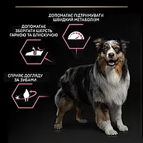 Сухий корм для собак Pro Plan Medium Adult Sensitive Skin для середніх порід з лососем 14 кг, фото 3