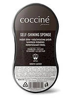 COCCINE Губка для блеска бесцветная SELF-SHINING SPONGE MIDI