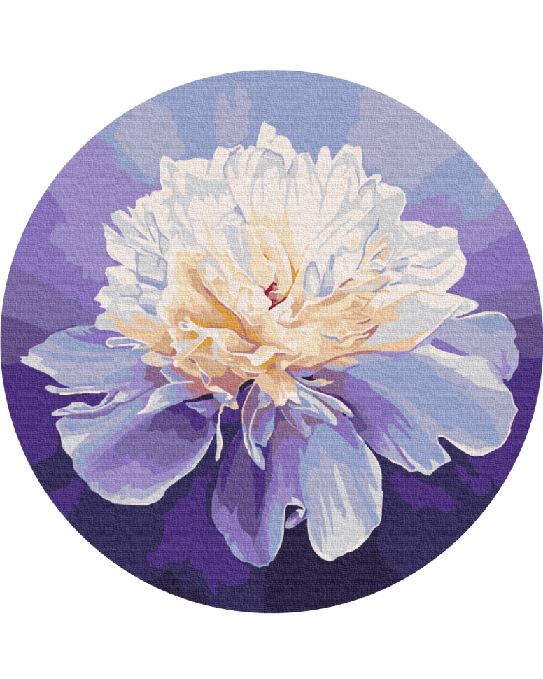 Картина за номерами "Ніжна півонія" © Anna Steshenko Brushme RC00074M 30 см