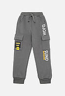 Спортивные брюки для мальчика 140 серый Lizi Kids ЦБ-00220697 KS, код: 8428765