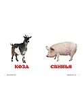 Книга Домашние животные. Окружающий мир для самых маленьких, фото 4