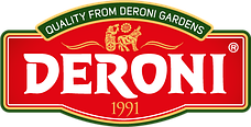 Класичний соус для м'яса 320 грам Classic sauce for meat Deroni, фото 2