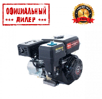 Двигатель бензиновый Edon ED-210/7.0HP (7 л.с.) INT