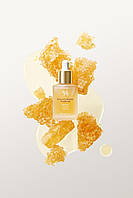 Ампульна сироватка з екстрактом прополісу Dr. Ceuracle Royal Vita Propolis 33 Ampoule, фото 10