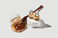 Ампульна сироватка з екстрактом прополісу Dr. Ceuracle Royal Vita Propolis 33 Ampoule, фото 5