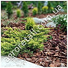 Кора соснова дрібна фракція 50 л, фото 5