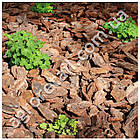 Кора соснова середня фракція 50 л, фото 4