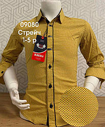 Дитяча стрейчева сорочка Sinyor Besni 1-5 років з принтом