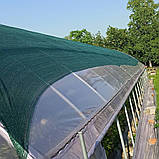 Сітка затіняюча садова, захисна 85 % затінення, 2.0 х 10.0 (м), фото 9