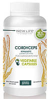Cordyceps (Кордицепс) рослинні капсули - антибактеріальні, противірусні, онкопротектор, підвищує імунітет, 180 капс