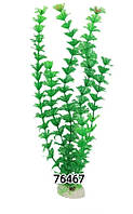 Растение для декора аквариума 30см зеленое 12in081В