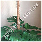 Опора для рослин кокосова Ø32 мм 150 см, фото 3