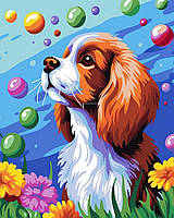 Акриловая картина маслом на холсте по номерам Собака с набором красок Coolstek